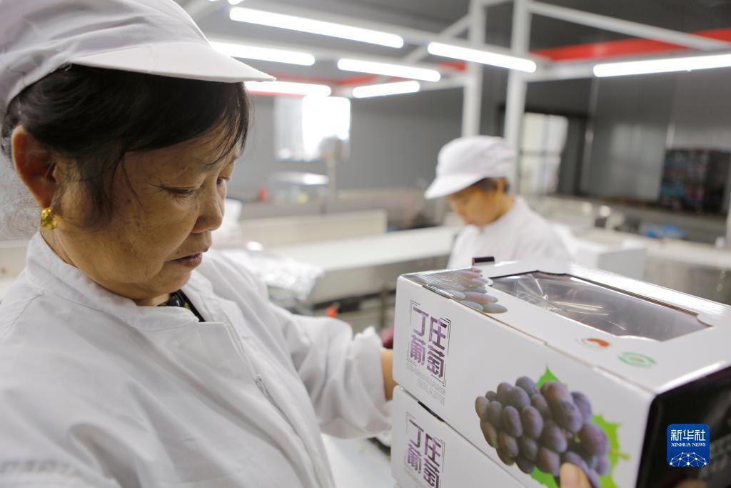 手机认证送免费彩金